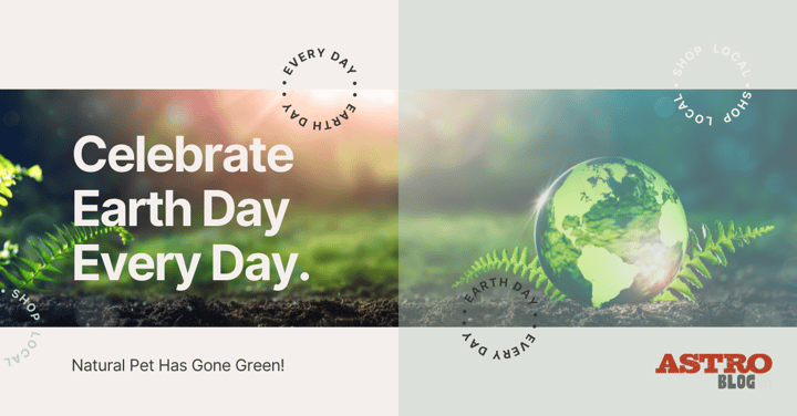 Celebrate Earth Day Every Day 2022