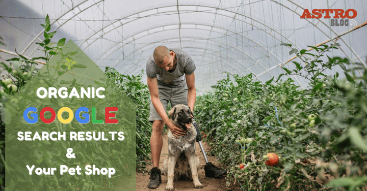 Organic Google Search Results & Your Pet Shop