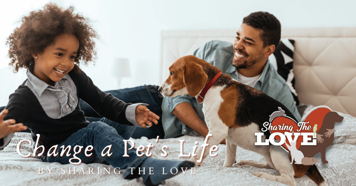 Change a Pet's Life by Sharing The Love!