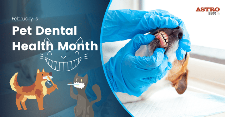 February Is Pet Dental Health Month