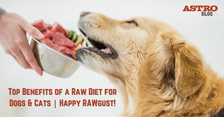 Top Benefits of a Raw Diet for Dogs & Cats | Happy RAWgust!