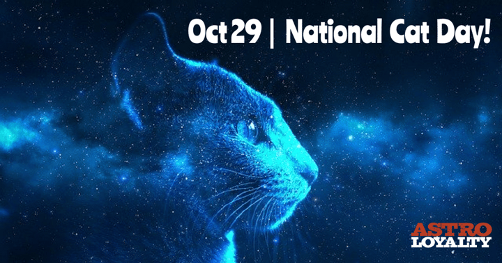 Celebrate Your Cat's Superpowers on National Cat Day