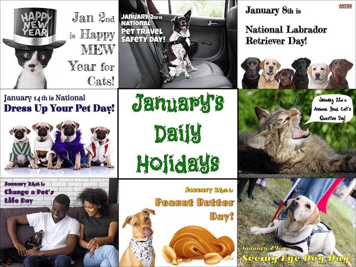 Promotion Calendar & Marketing Materials | January's Daily Holidays