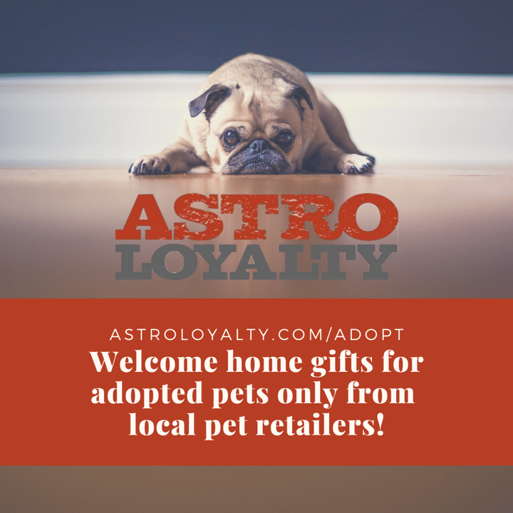 Sharing the Love with Animal Shelters and Pet Foster Parents